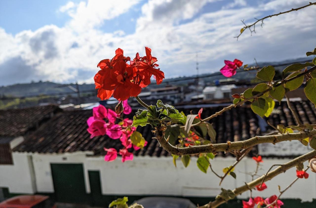 Hospedaje El Jardin San Agustin Bagian luar foto